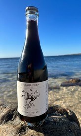 Summer Syrah 2023